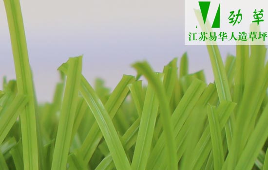 易華人造草坪運(yùn)動(dòng)草帶筋草絲